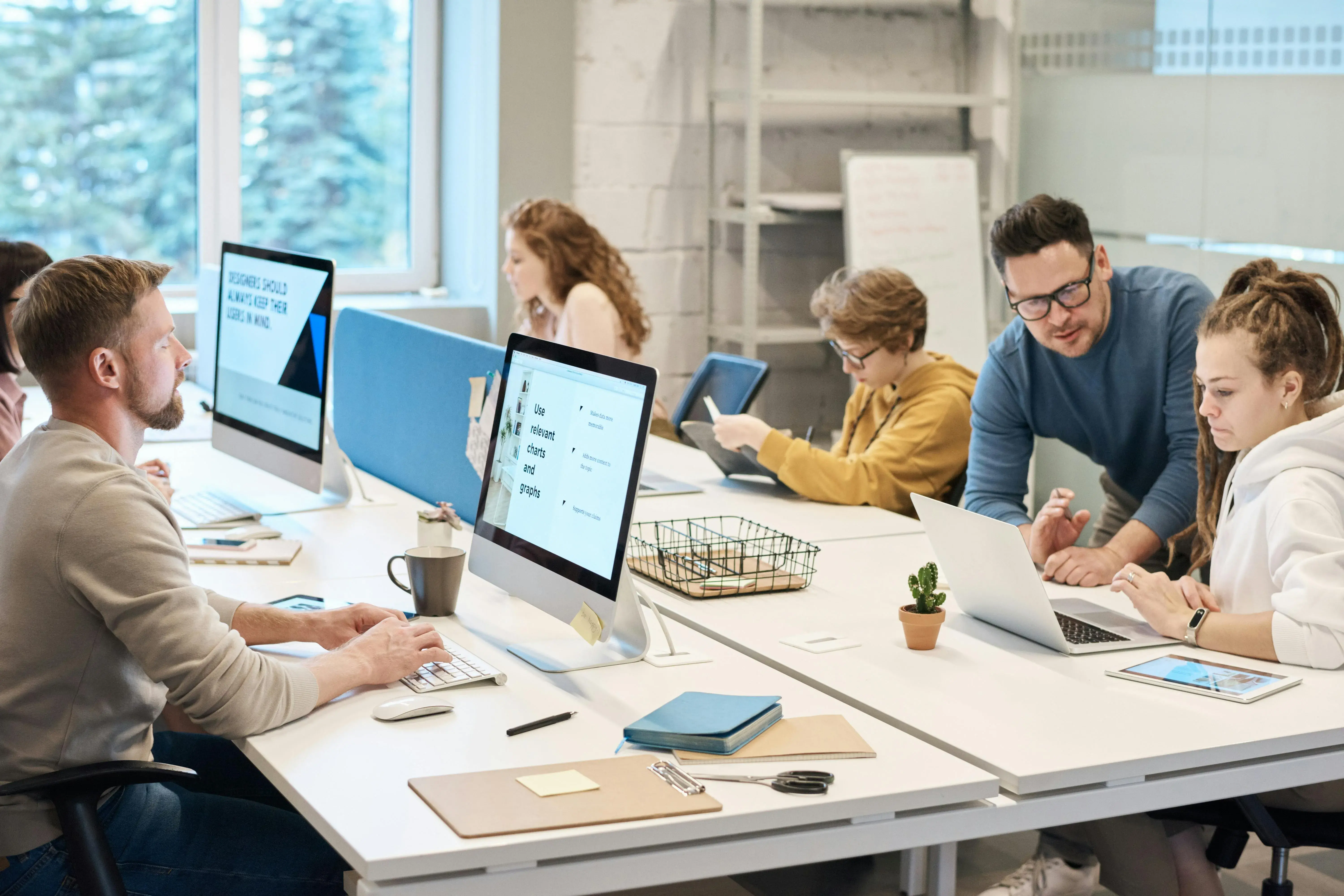Expert developers